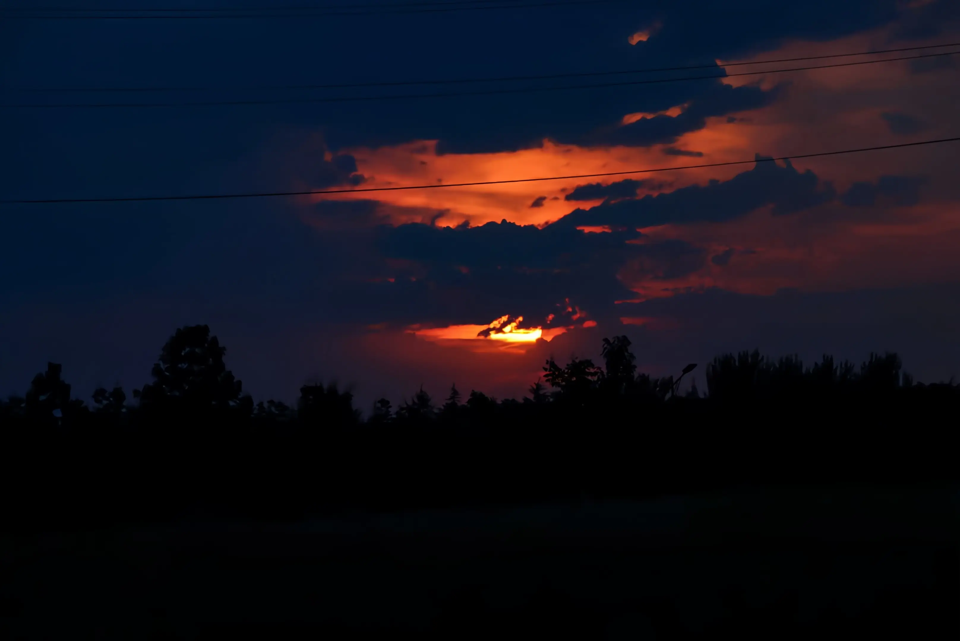 Color: Black Daylight(暗昼)