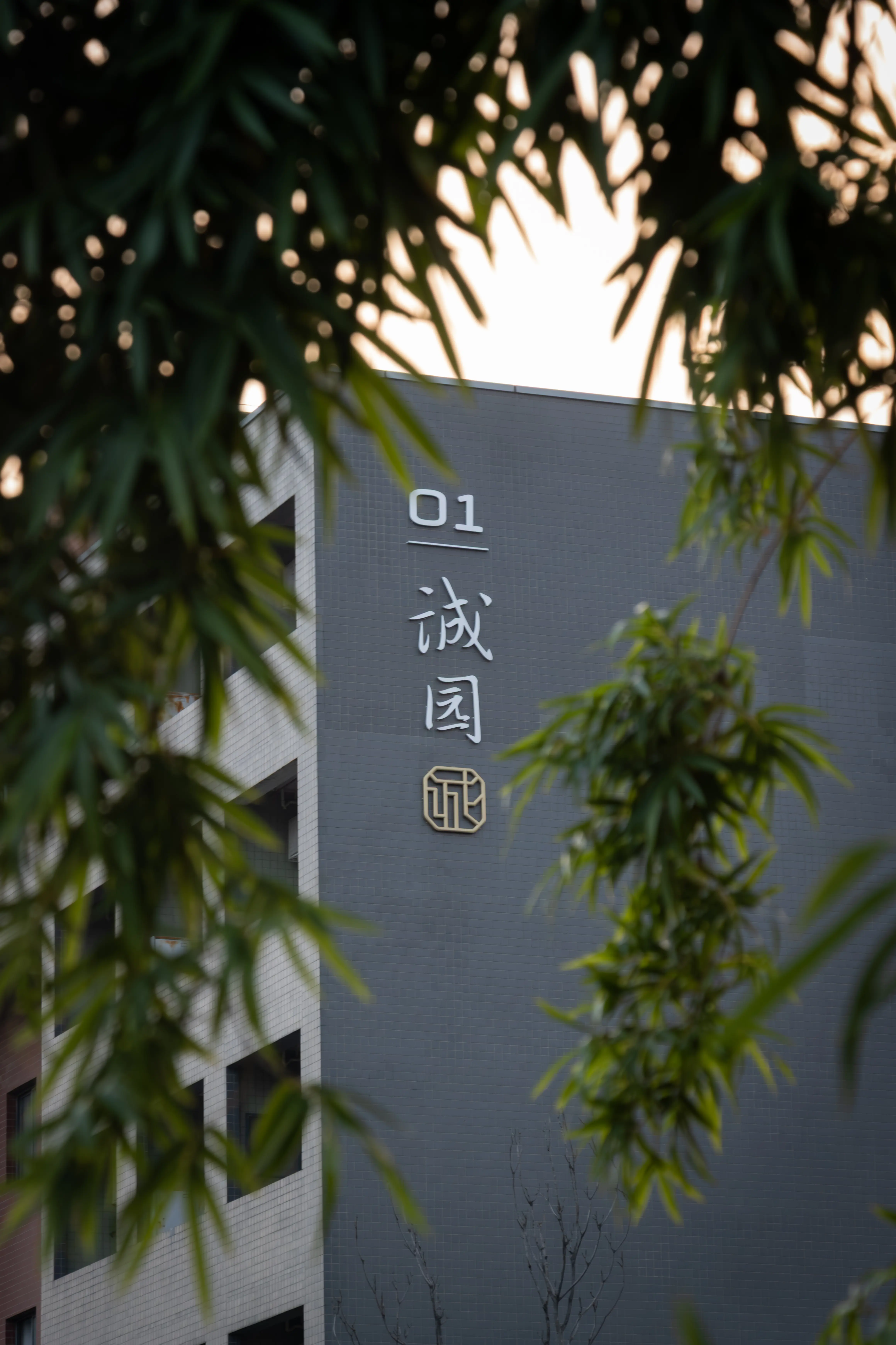 NJU Memory: Cheng Garden