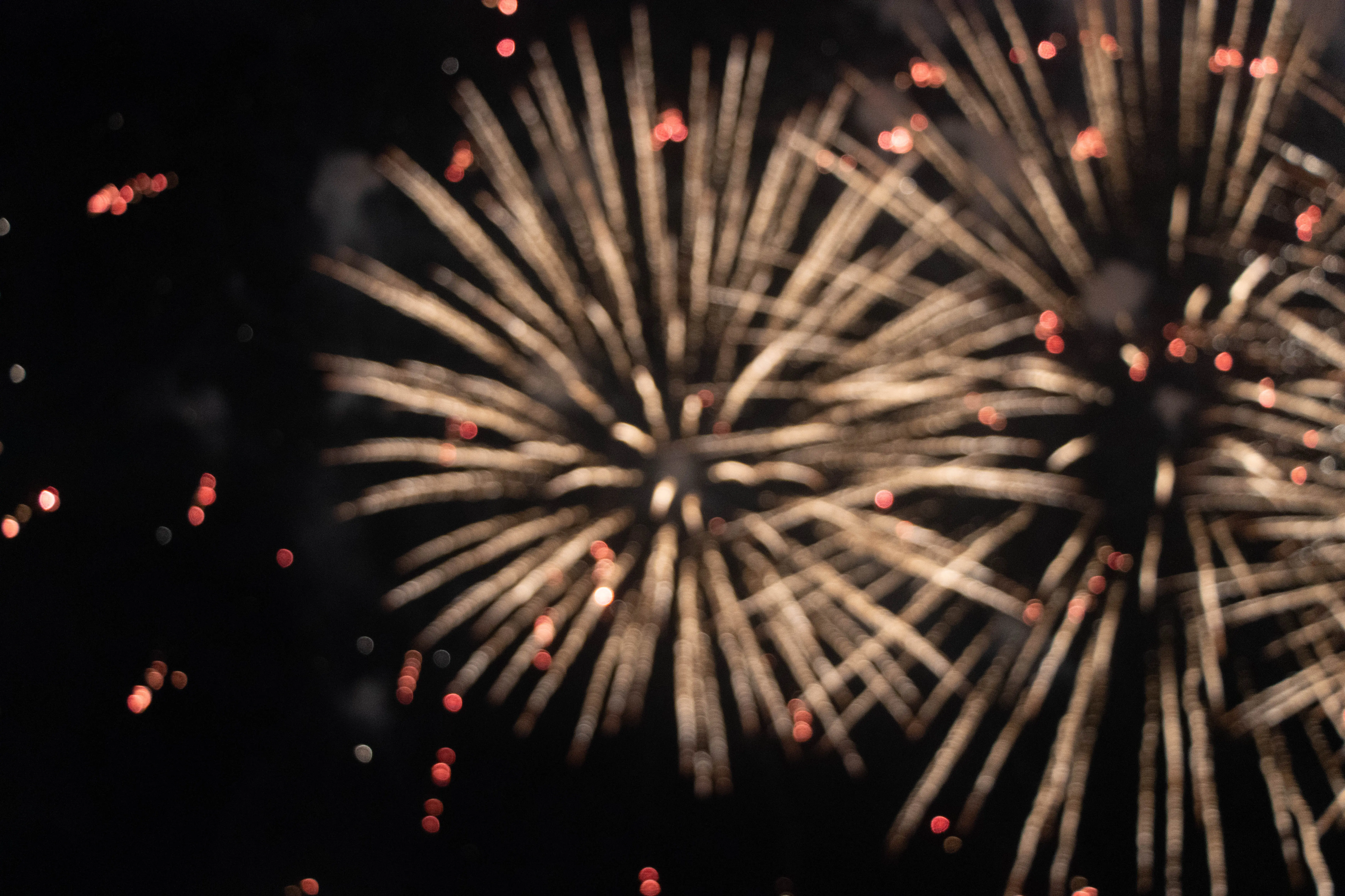 Serendipitous Sights: Fireworks