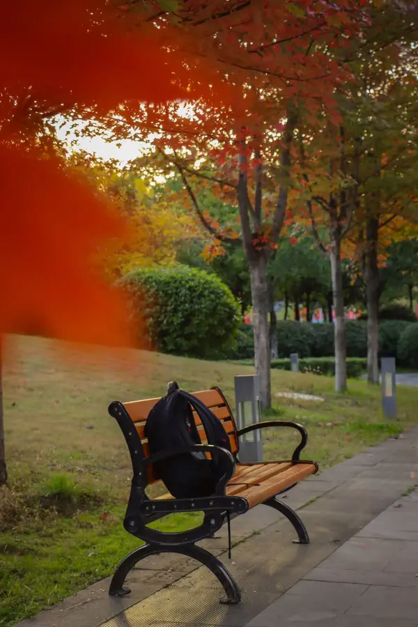 Slow Memory in Autumn: Maple Thoughts(红叶思)