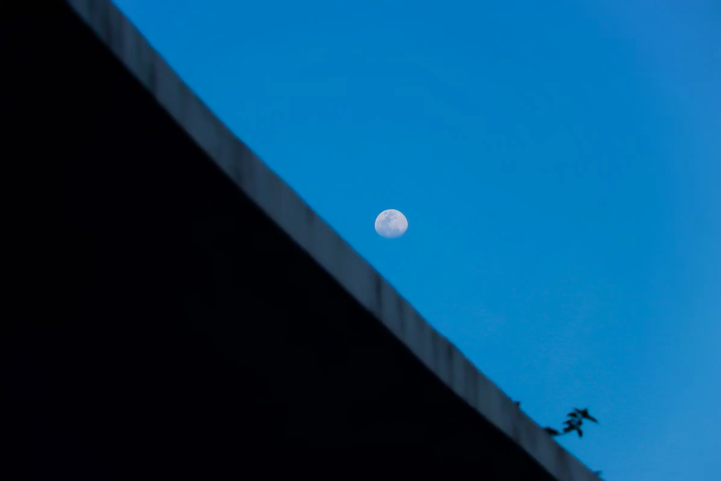 Less is More: Moon Crossing Silence(月渡静澜)