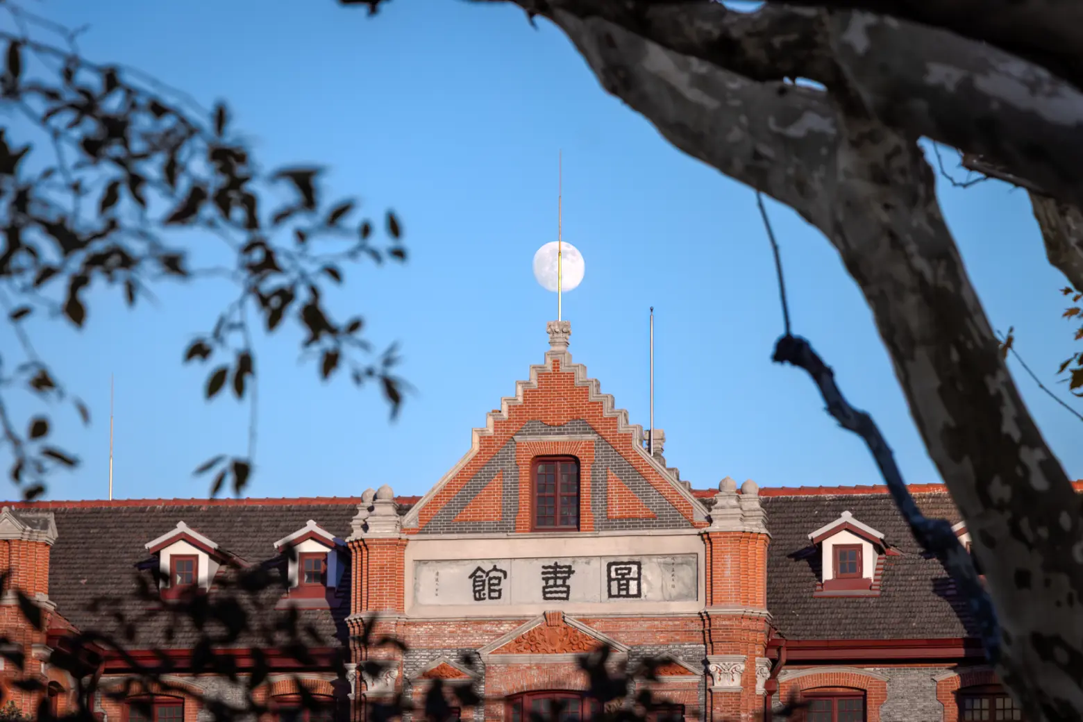 SJTU Memory: Moonlit Reading Hall(书馆月明)