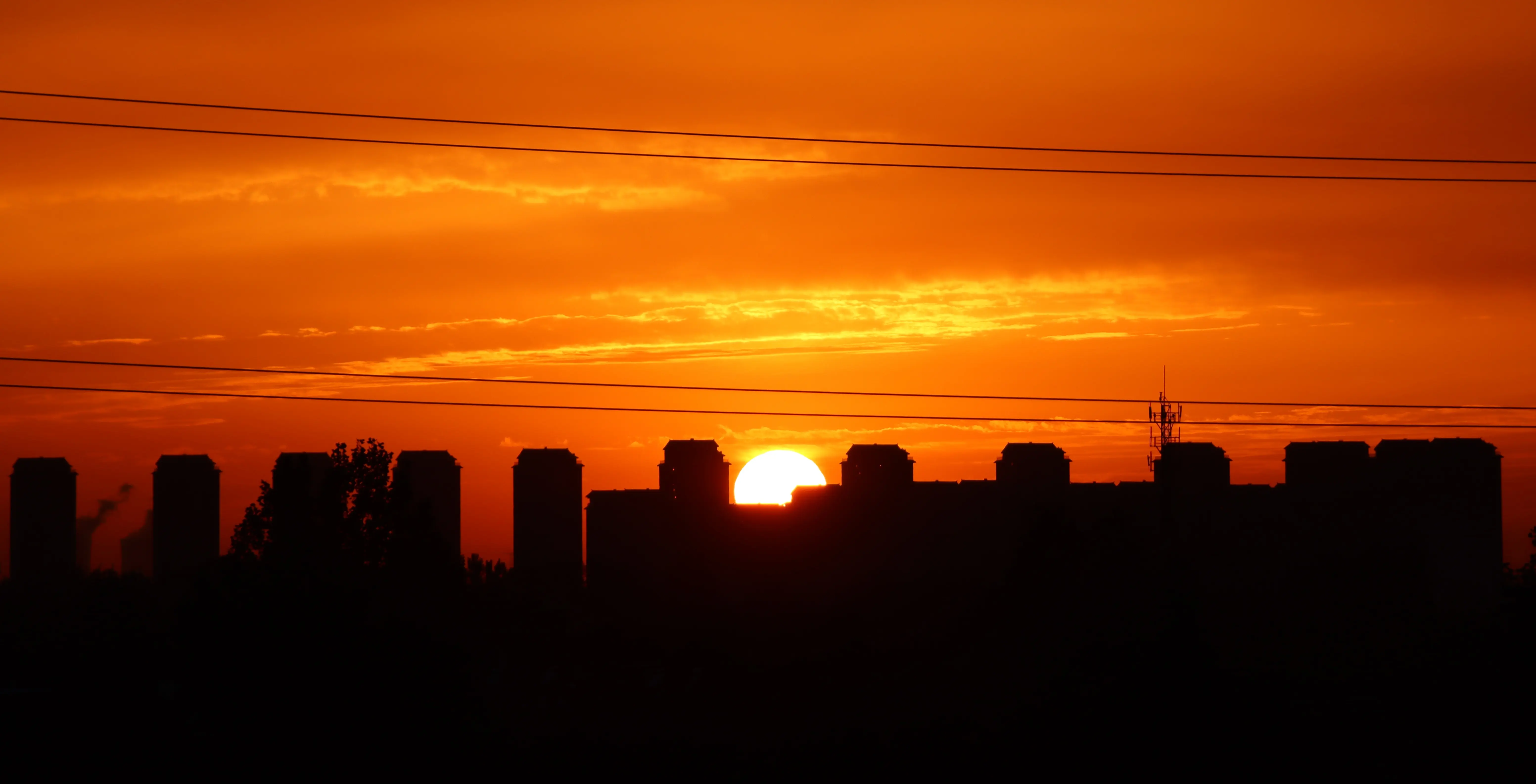 Lost City: Under the Wounded Sun(血日之下)